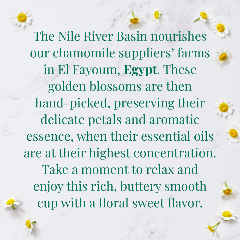 Warm cup of Egyptian Chamomile tea inviting relaxation.
