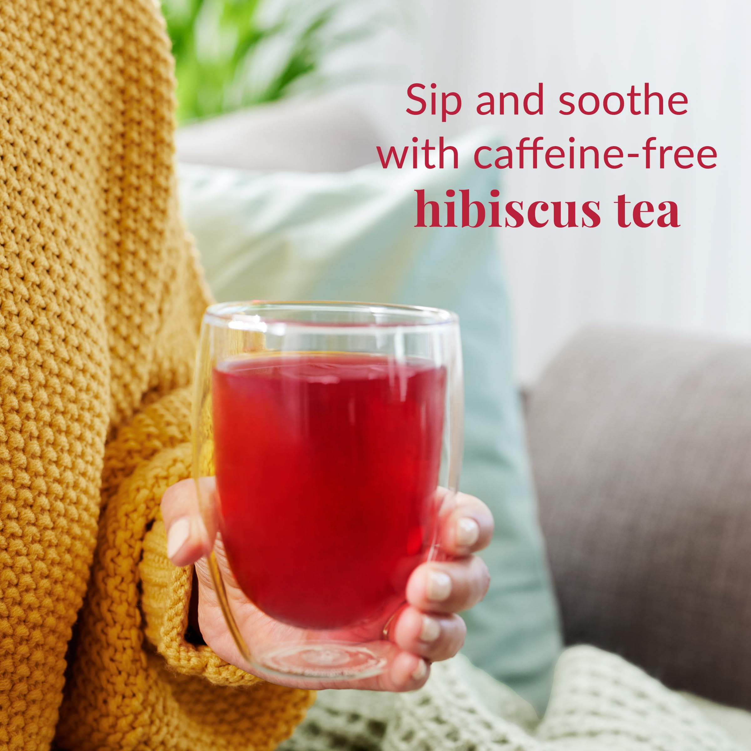 Blueberries in The Republic of Tea Hibiscus Blueberry Superflower blend, rich and juicy look.
