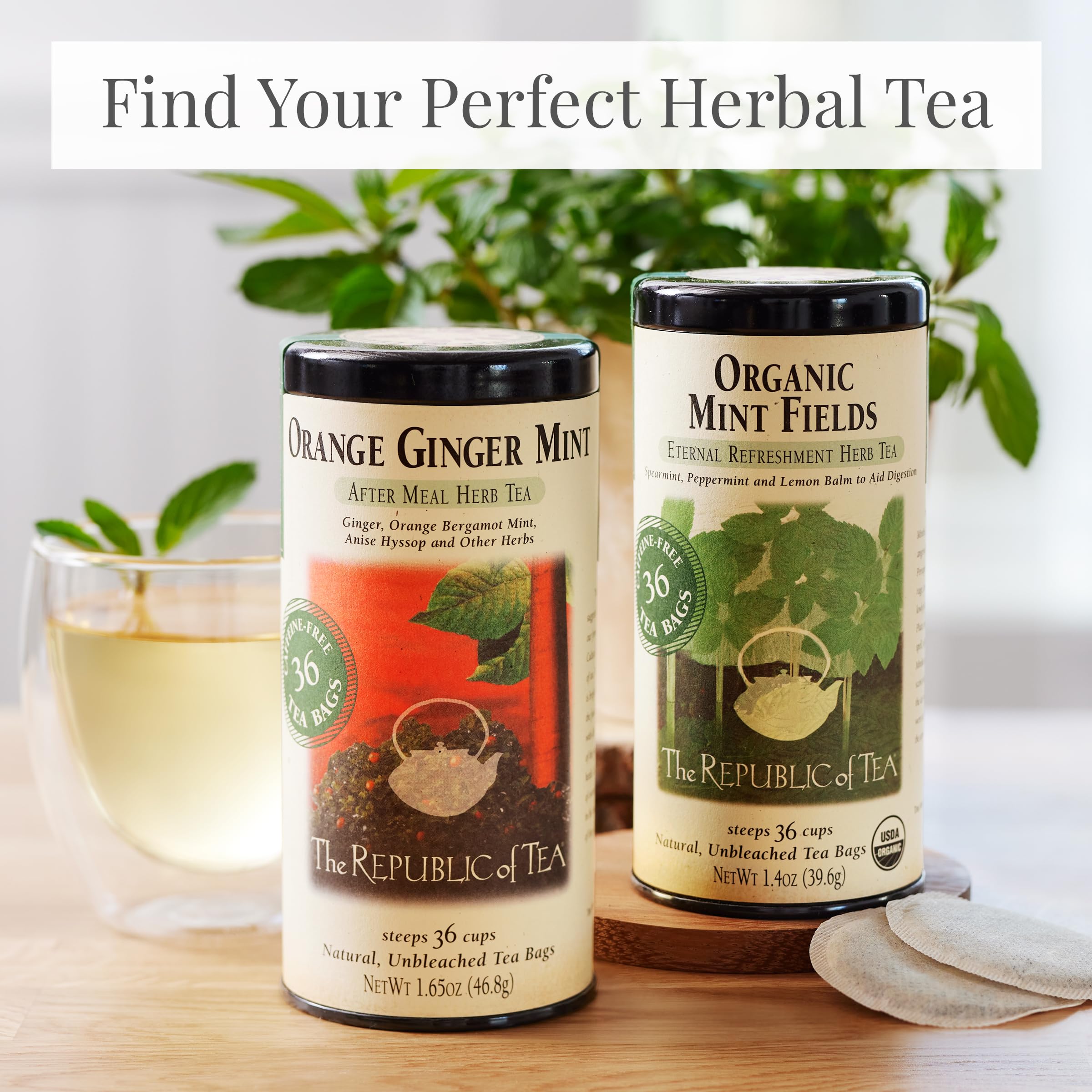 The Republic of Tea Mint Fields ingredients pack highlighting organic mint and balm.