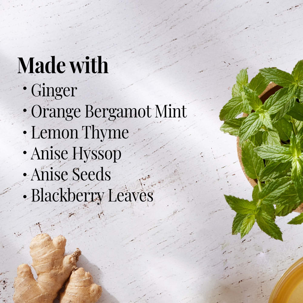 The Republic of Tea orange-ginger-mint tea bags closeup for quick brews.