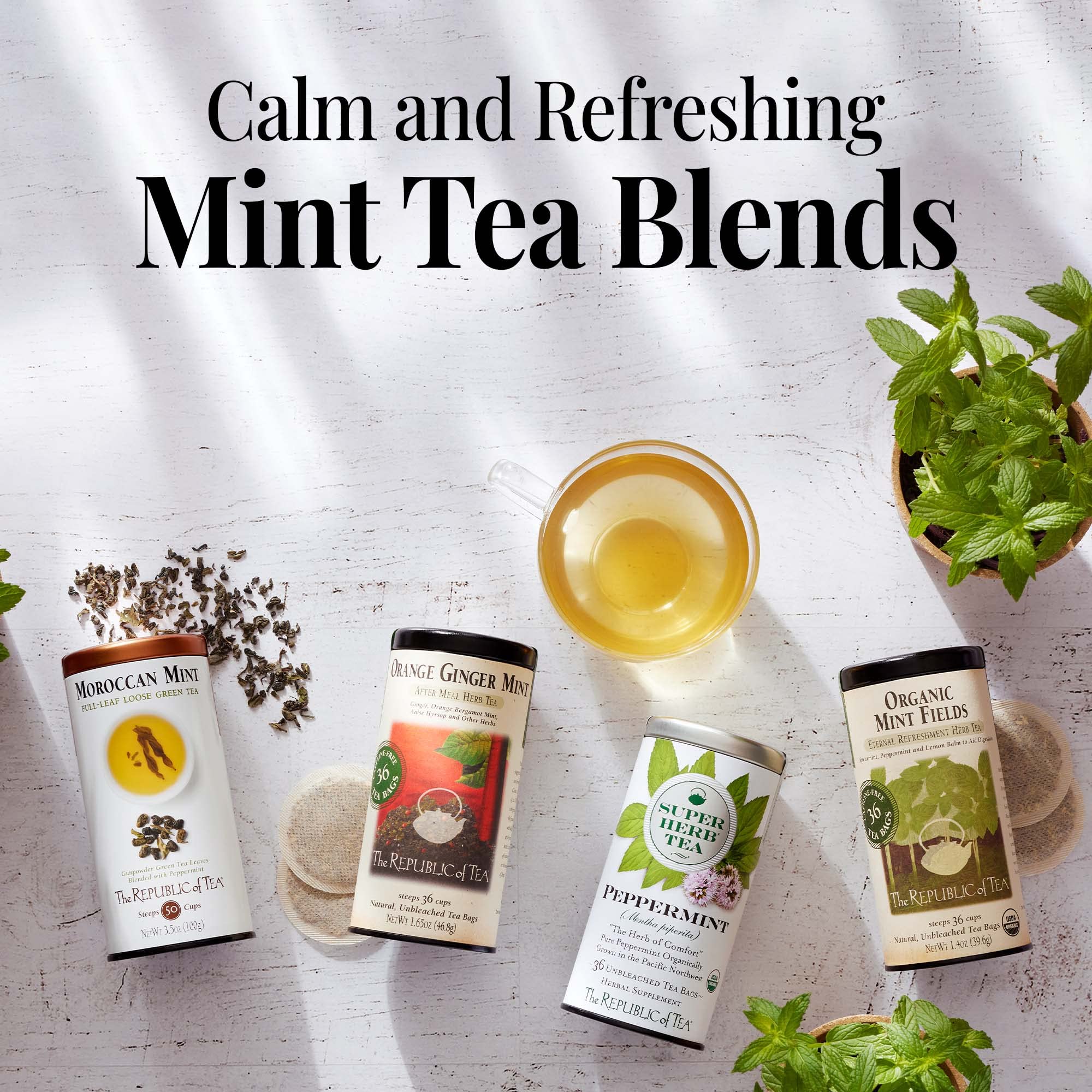 Herbal tea collection visuals featuring orange-ginger-mint flavor lineup.