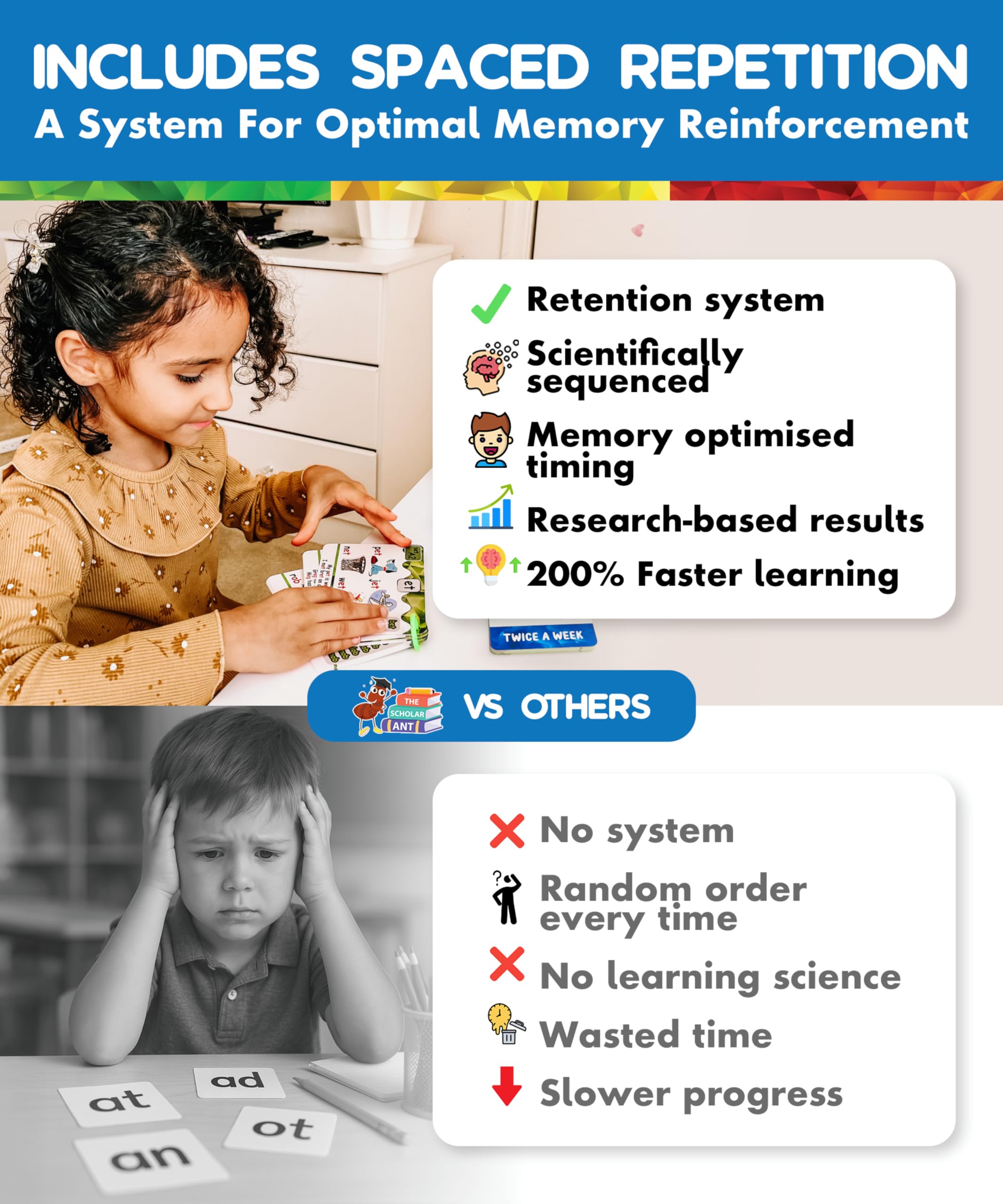 The Scholar Ant phonogram family groups structure phonics learning