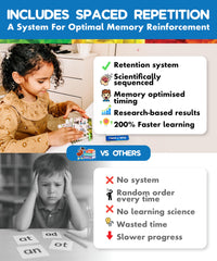 The Scholar Ant phonogram family groups structure phonics learning