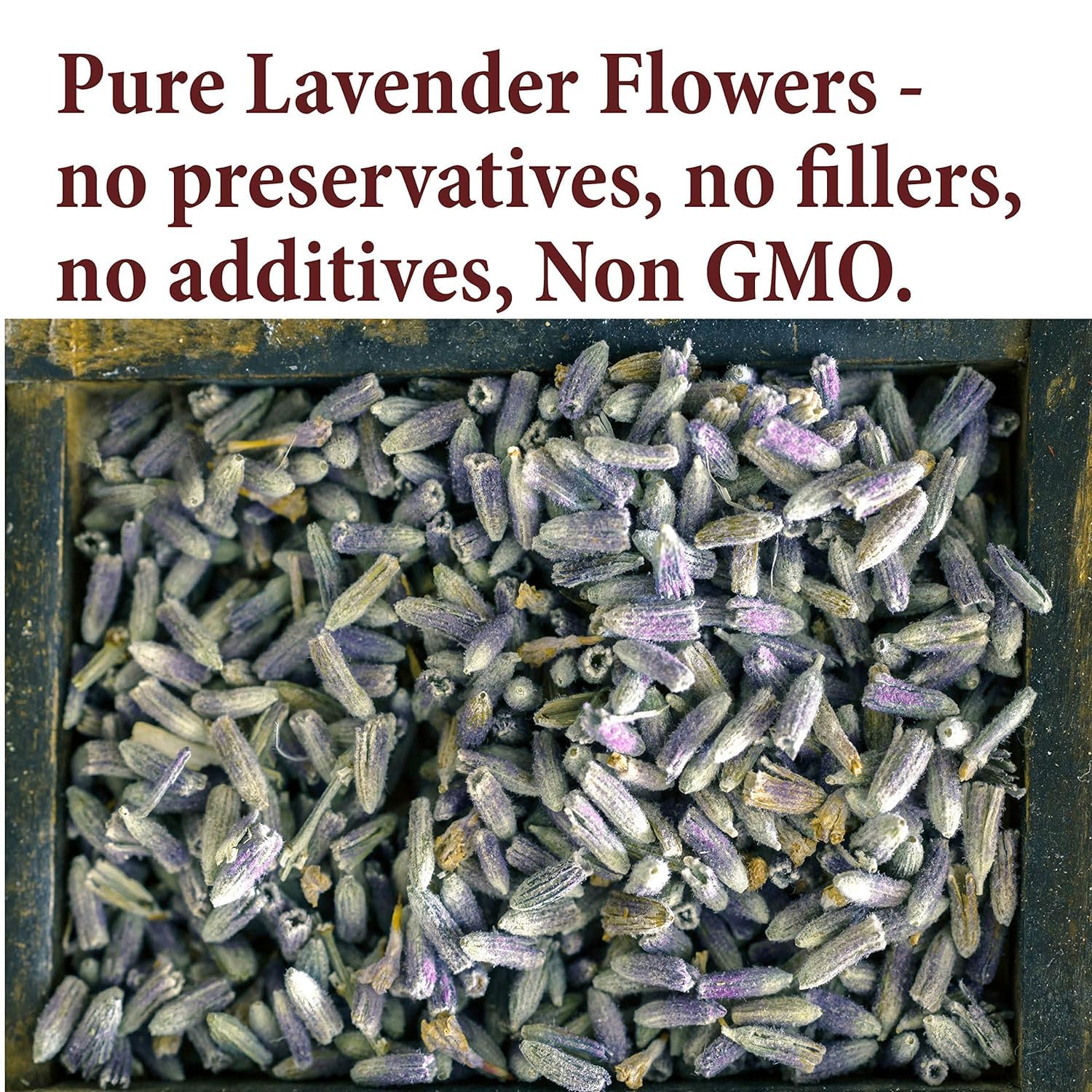 The Spice Way dried lavender buds closeup for pure culinary use.