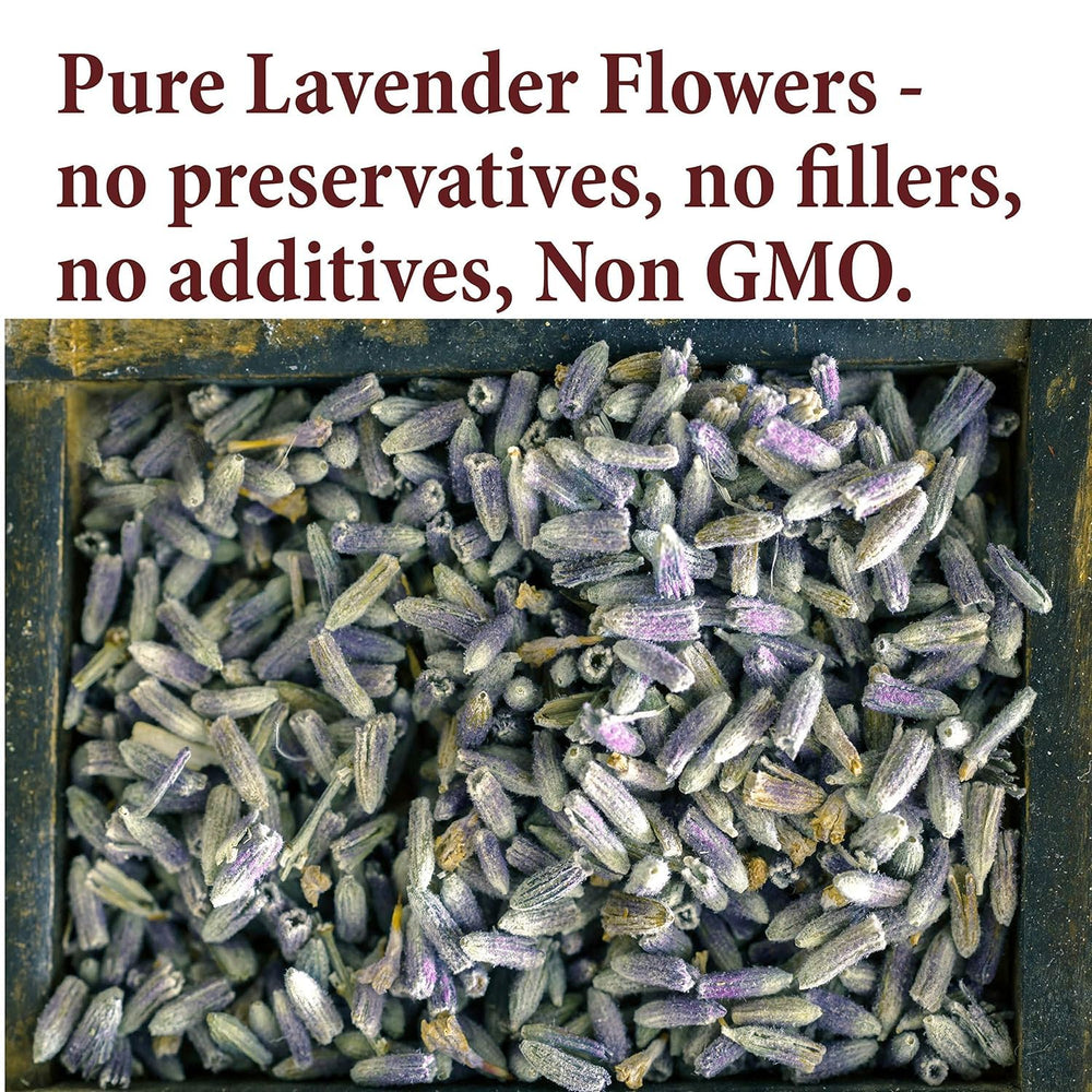 The Spice Way dried lavender buds closeup for pure culinary use.