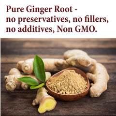 The Spice Way Ginger Powder texture closeup highlights a fine, aromatic powder.