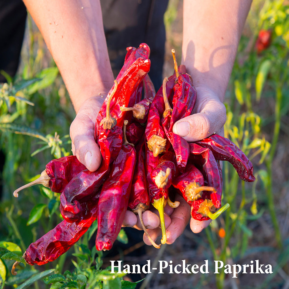 The Spice Way paprika spice-mound on counter hints at rich color