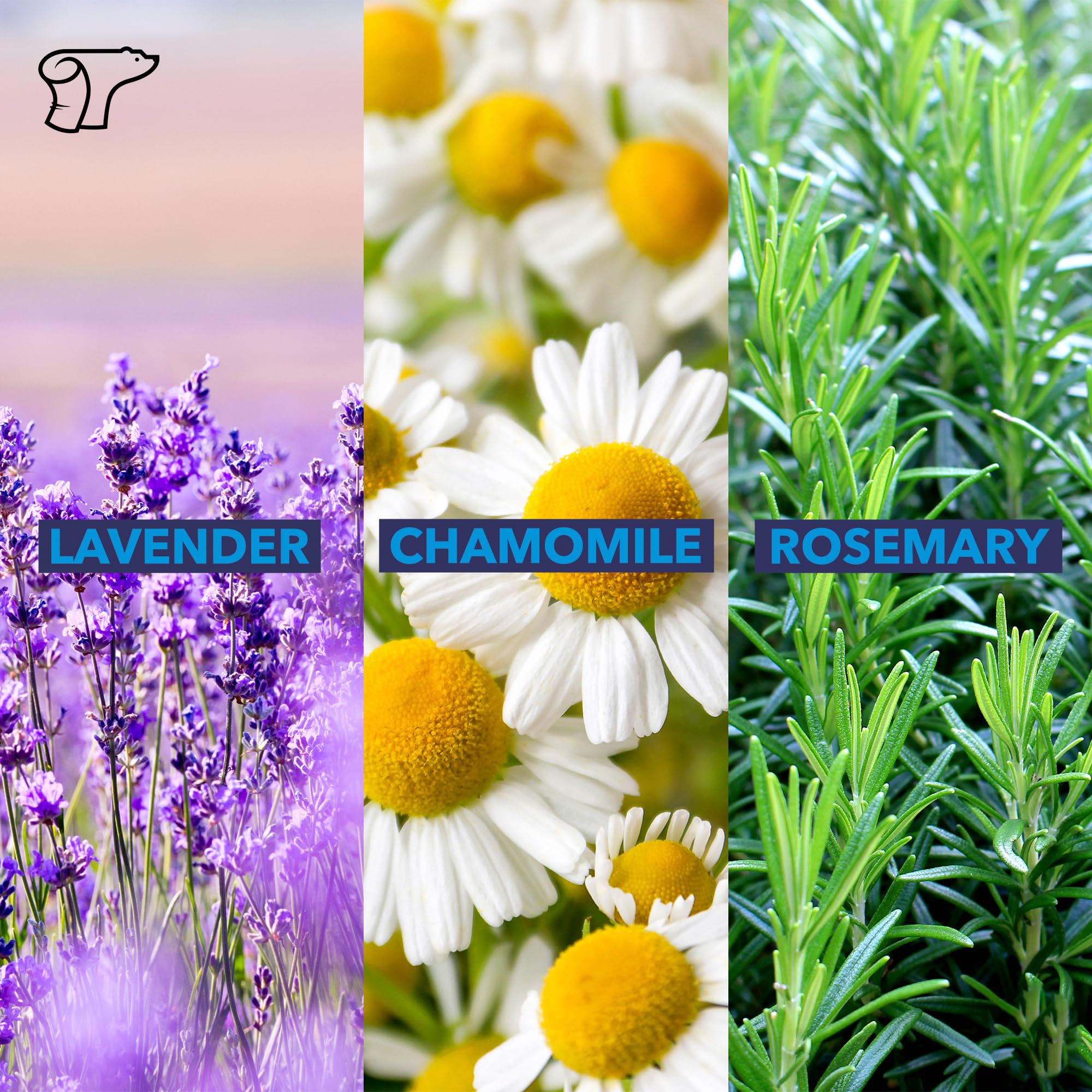 Rosemary and eucalyptus offer a spa-like aromatherapy feel