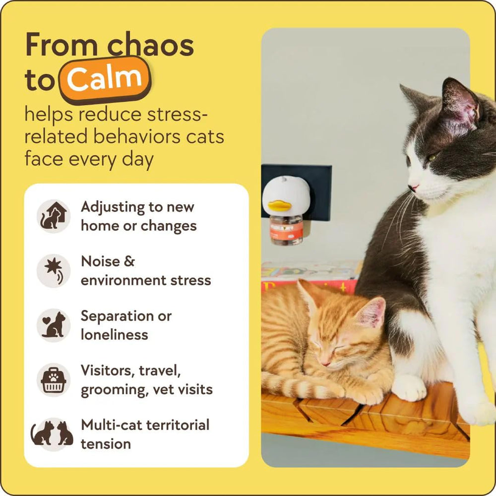 TherapetMD reduces spraying and scratching in multi-cat homes with calmer cats.