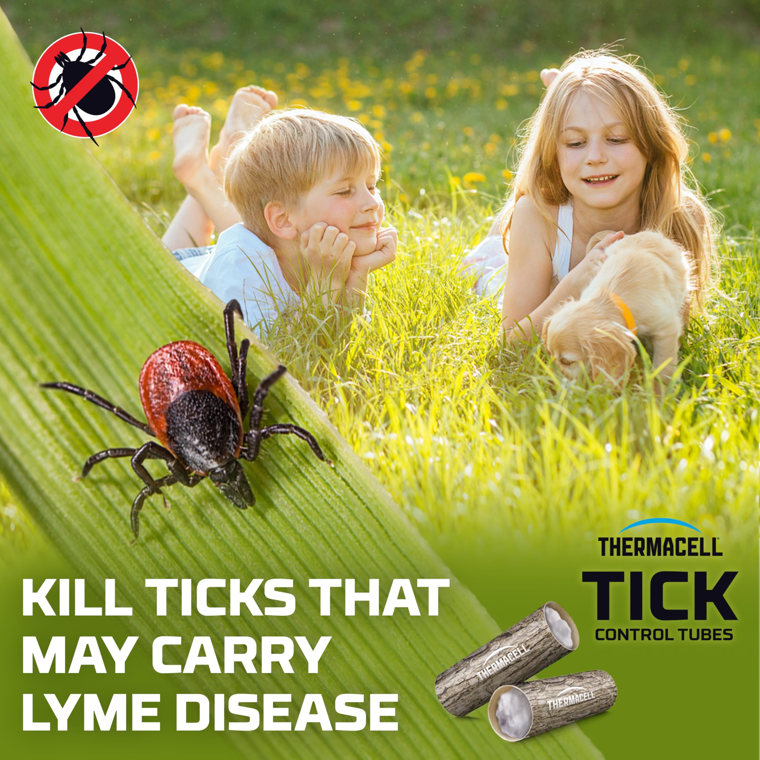 Thermacell tick control method around mice areas targets ticks effectively.
