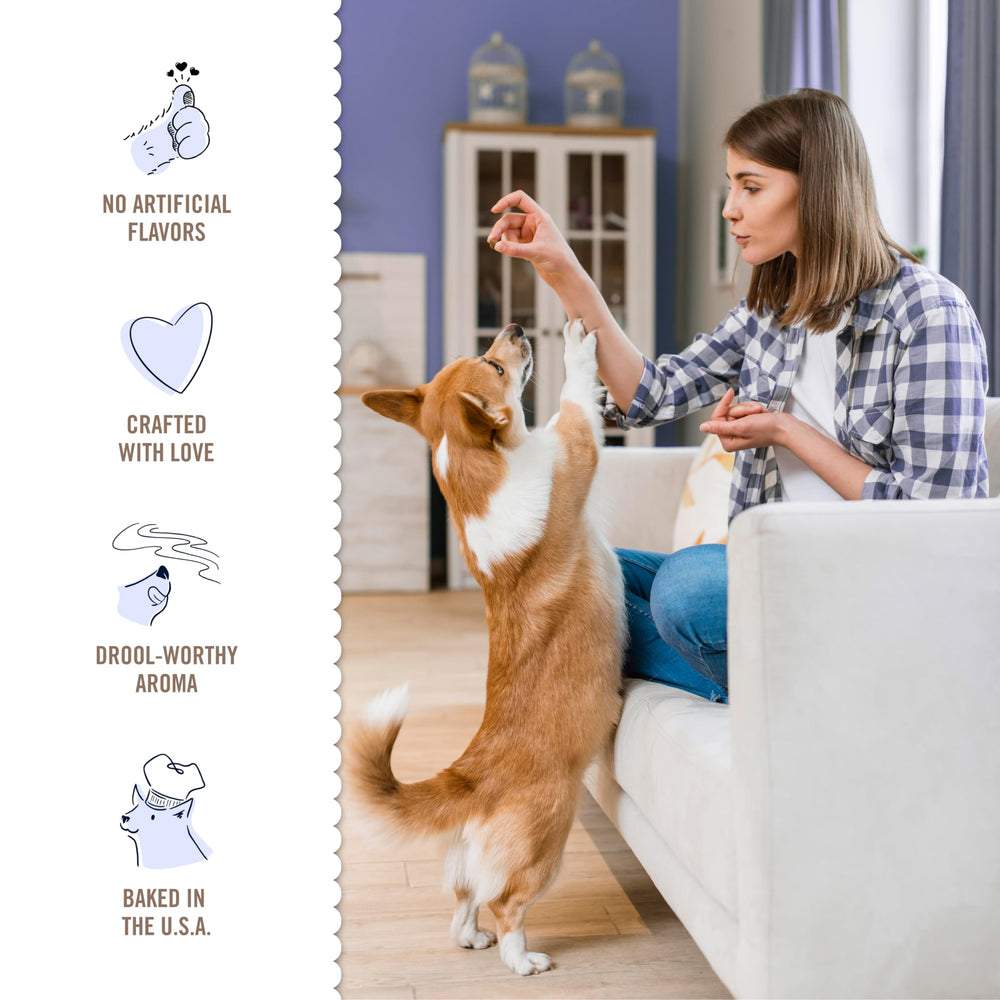 Three Dog Bakery Blueberry Pancake Bites aroma evokes a warm breakfast moment for dogs