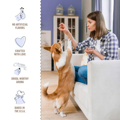 Three Dog Bakery Blueberry Pancake Bites aroma evokes a warm breakfast moment for dogs