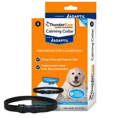ThunderEase collar on dog helps calm during storms and travel.