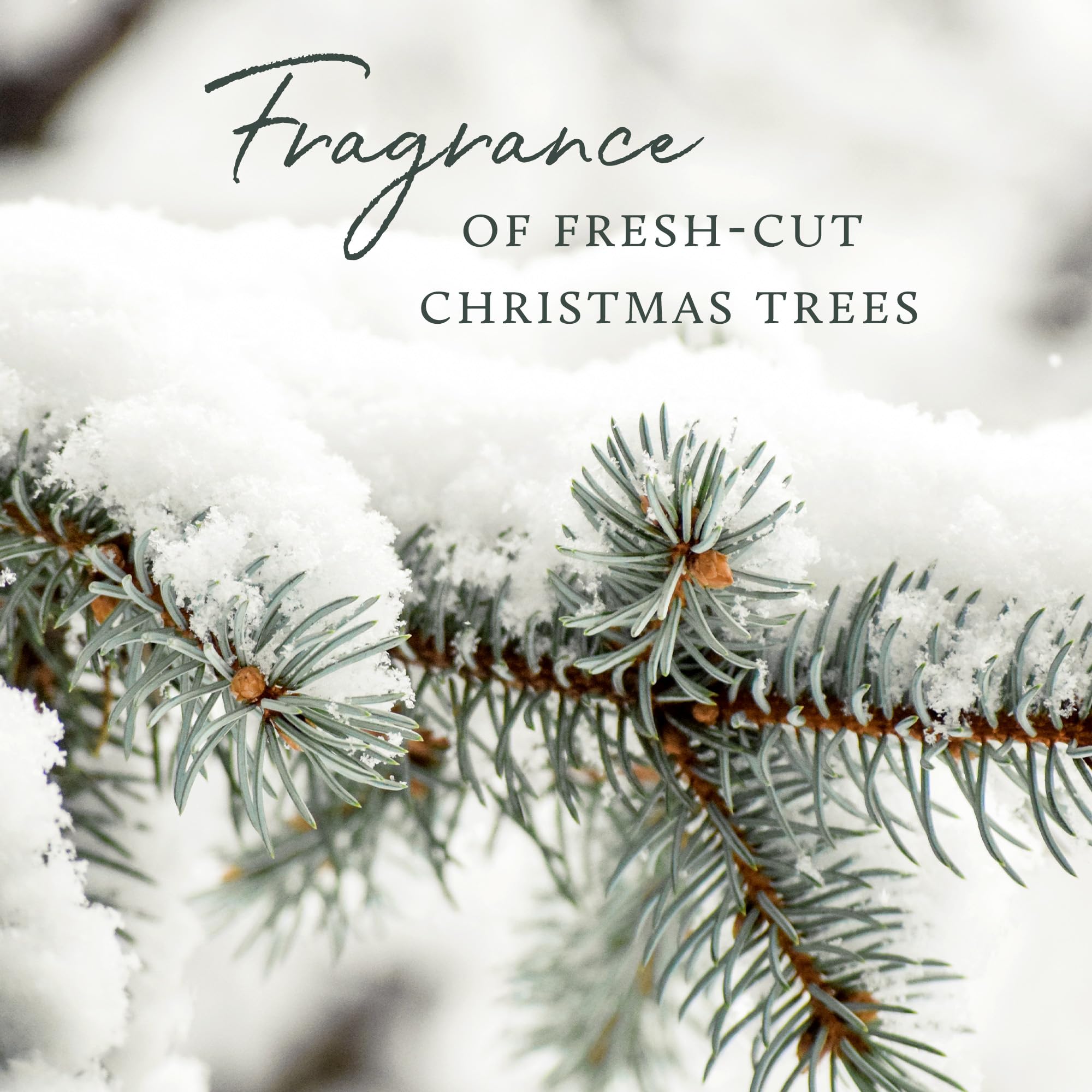 Thymes cruelty-free badge indicating ethical luxury fragrance