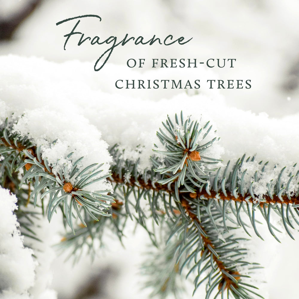Thymes cruelty-free badge indicating ethical luxury fragrance