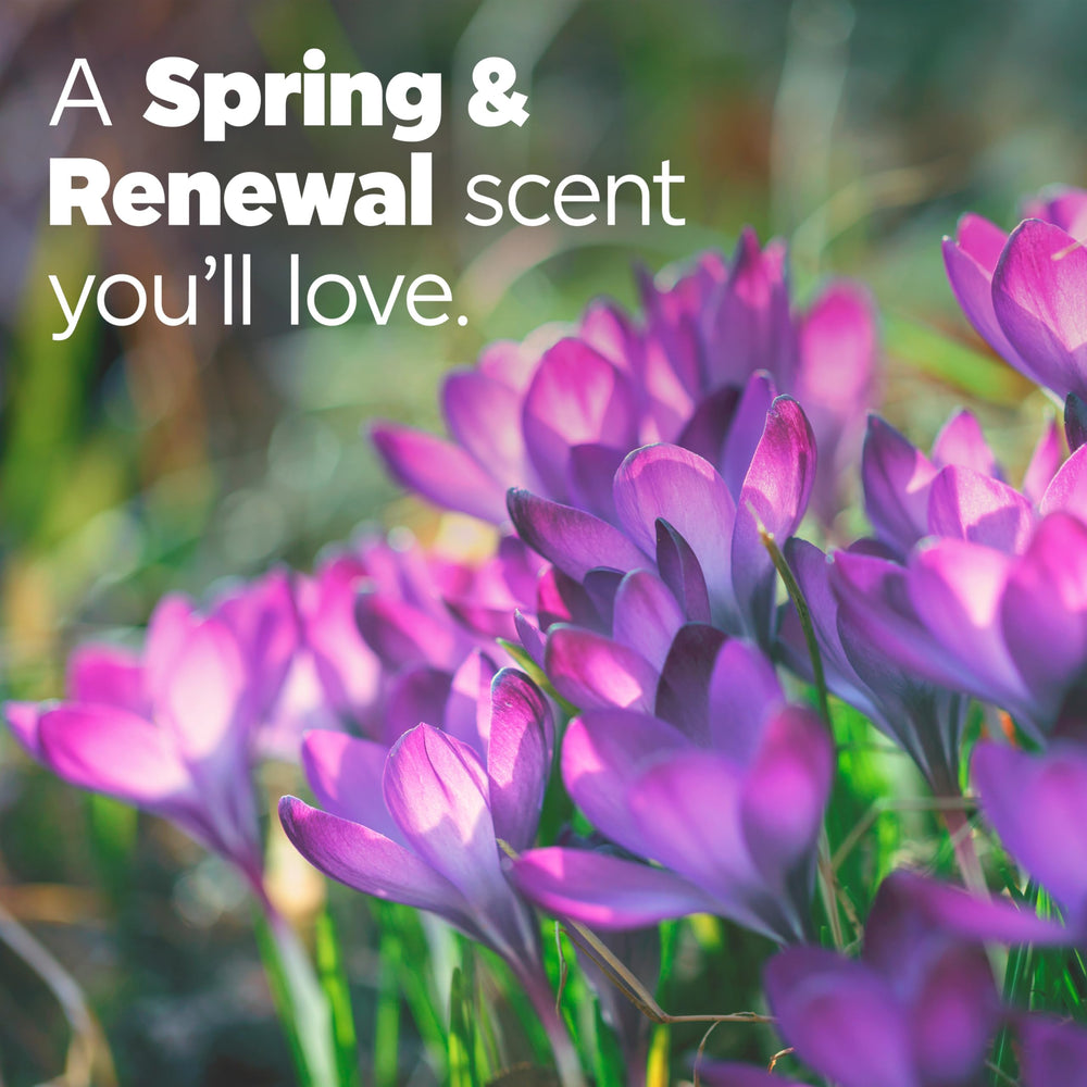 Tide Ultra Febreze Spring and Renewal label close-up emphasizes scent