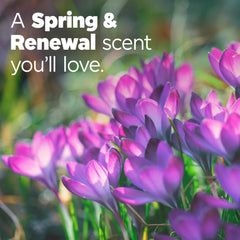Tide Ultra Febreze Spring and Renewal label close-up emphasizes scent