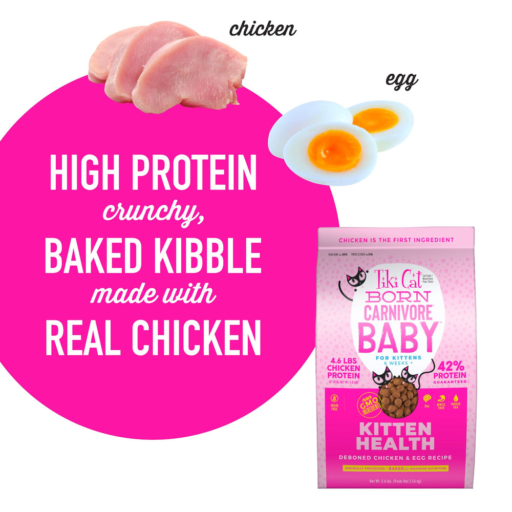 Tiki Cat Born Carnivore Baby kitten-digestive-support illustrates fiber for tiny tummies.