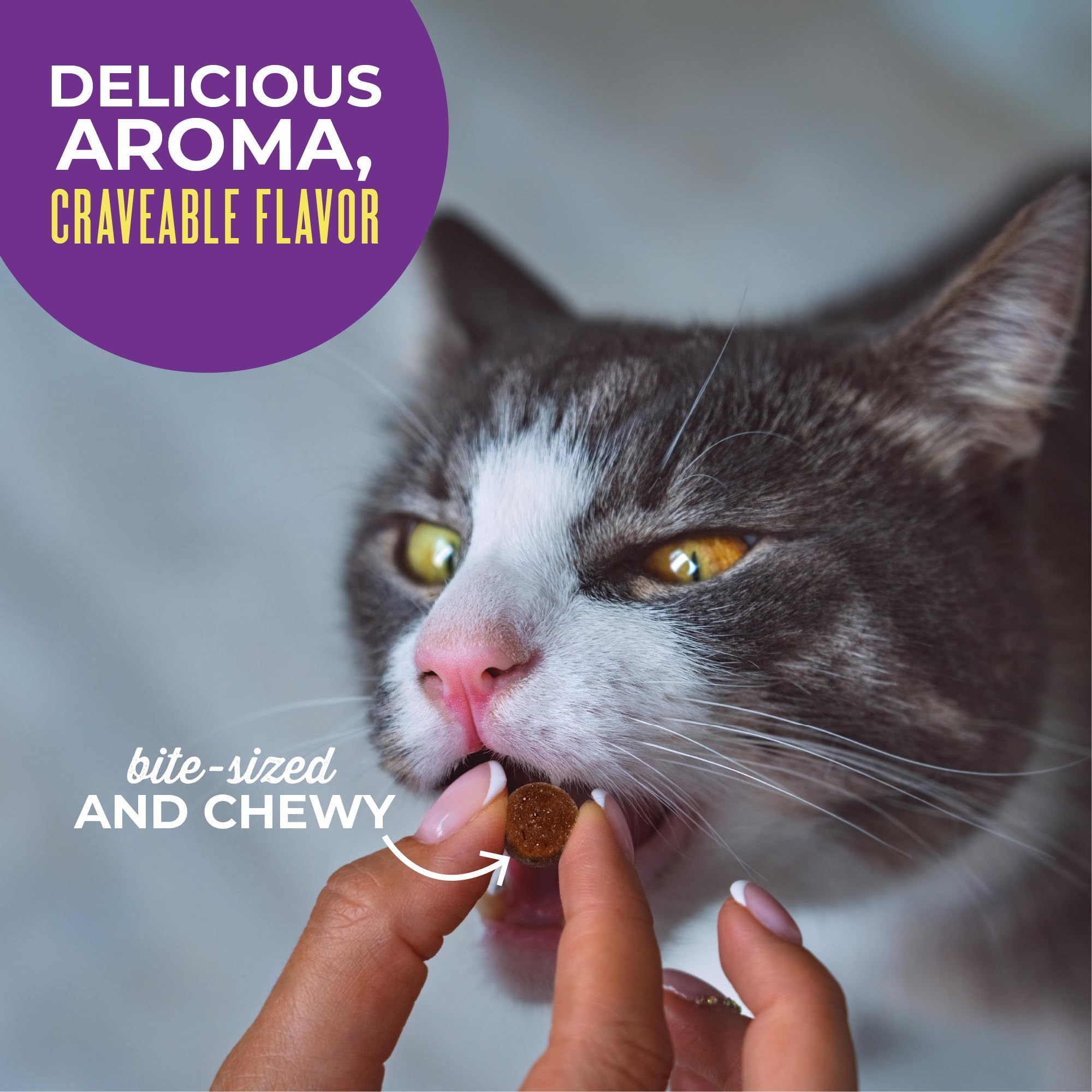 Emballage friandises TIKI PETS au poulet, sachet pratique