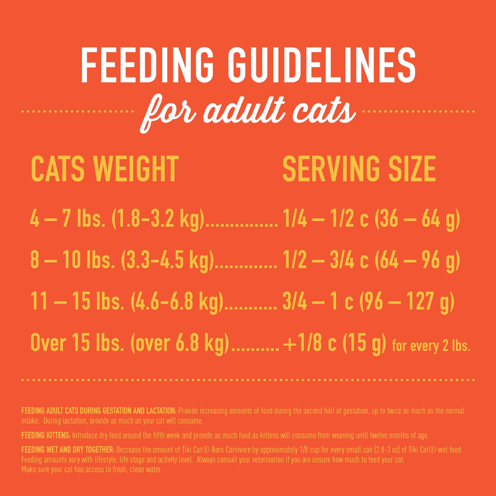 Tiki Pets Tiki Cat Born Carnivore grain-free baked kibble texture