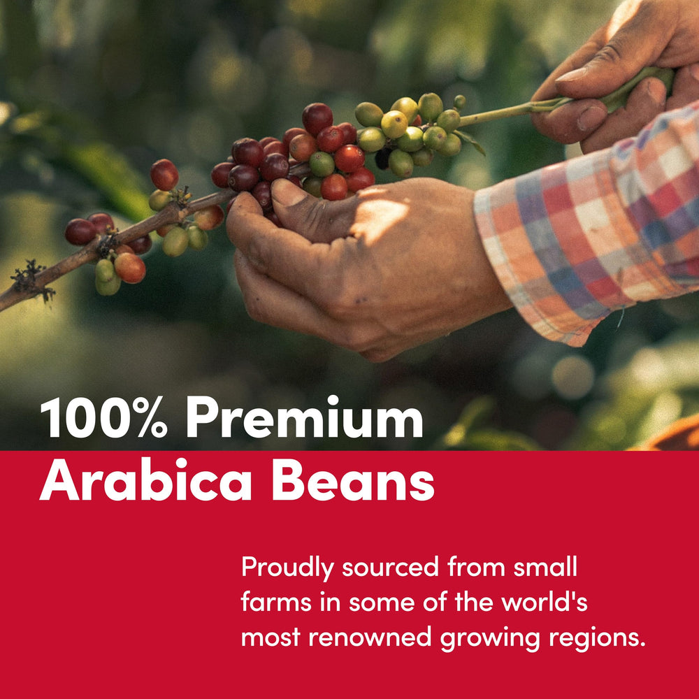 Tim Hortons 100% Arabica beans for balanced maple flavor.