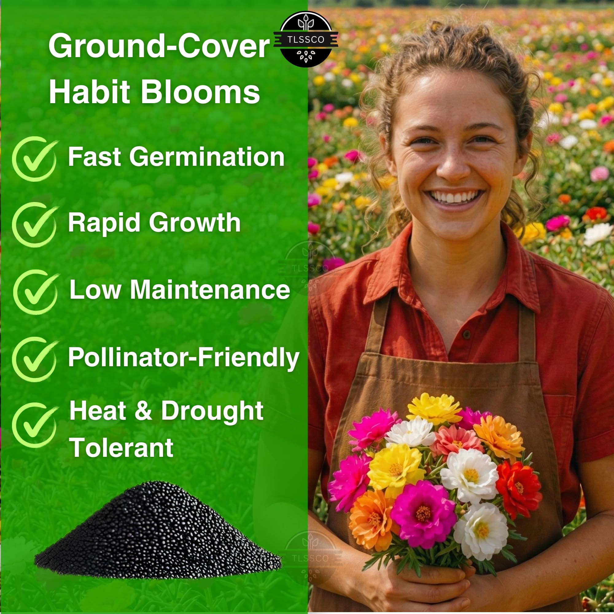 TLSSCO ground-cover seeds forming a dense, colorful mat in a border