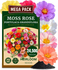 TLSSCO moss rose seeds pack shown for sunny garden beds with vibrant color