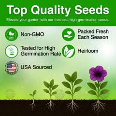 TLSSCO Petunia Seeds pollinator-friendly blooms attract bees and butterflies.