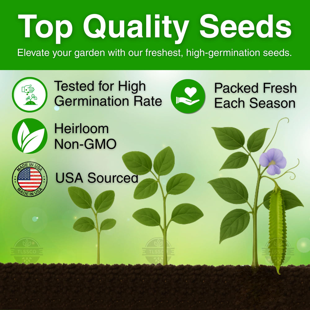 TLSSCO winged bean seeds closeup highlighting premium seeds and moisture-resistant packaging.