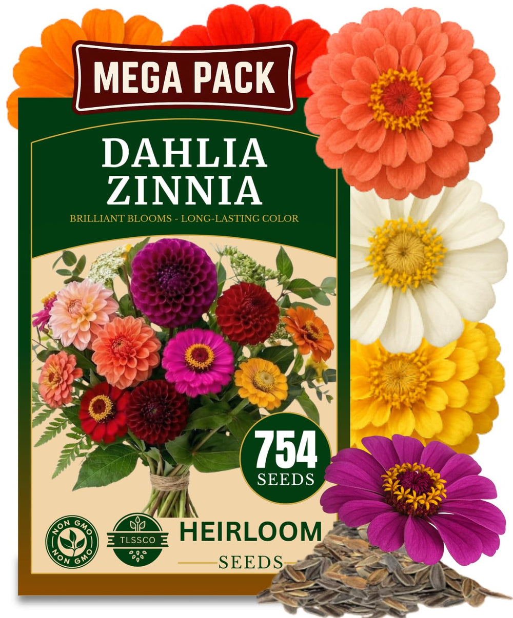 TLSSCO Zinnia Dahlia seeds pack for premium germination and easy planting