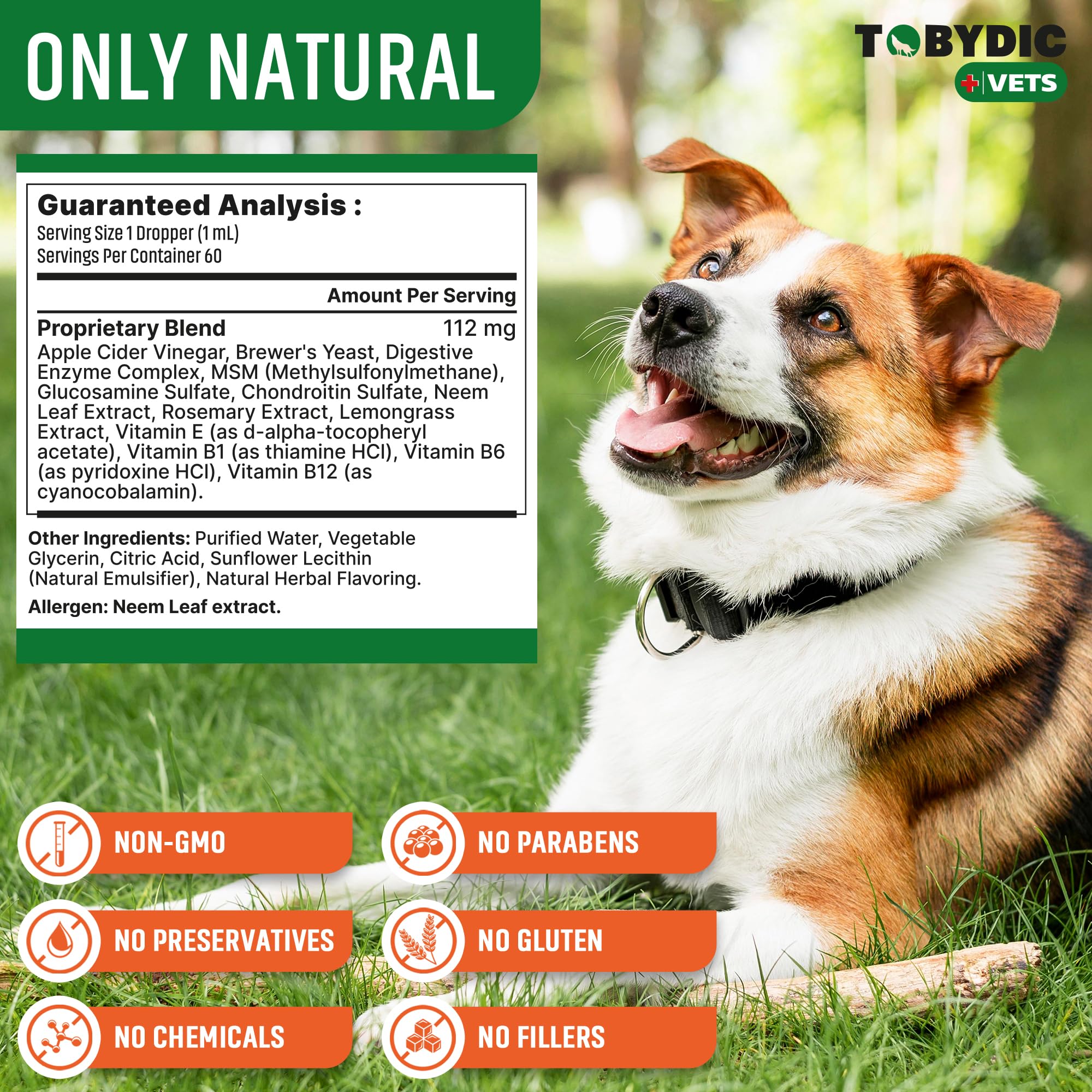 TOBYDIC visual emphasizes coat health and immune support.