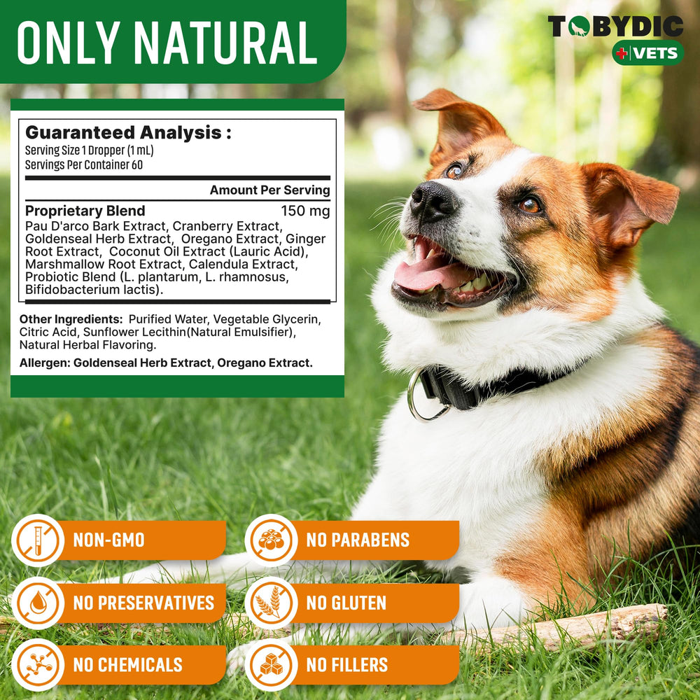 TOBYDIC pet comfort after use shows calmer activity