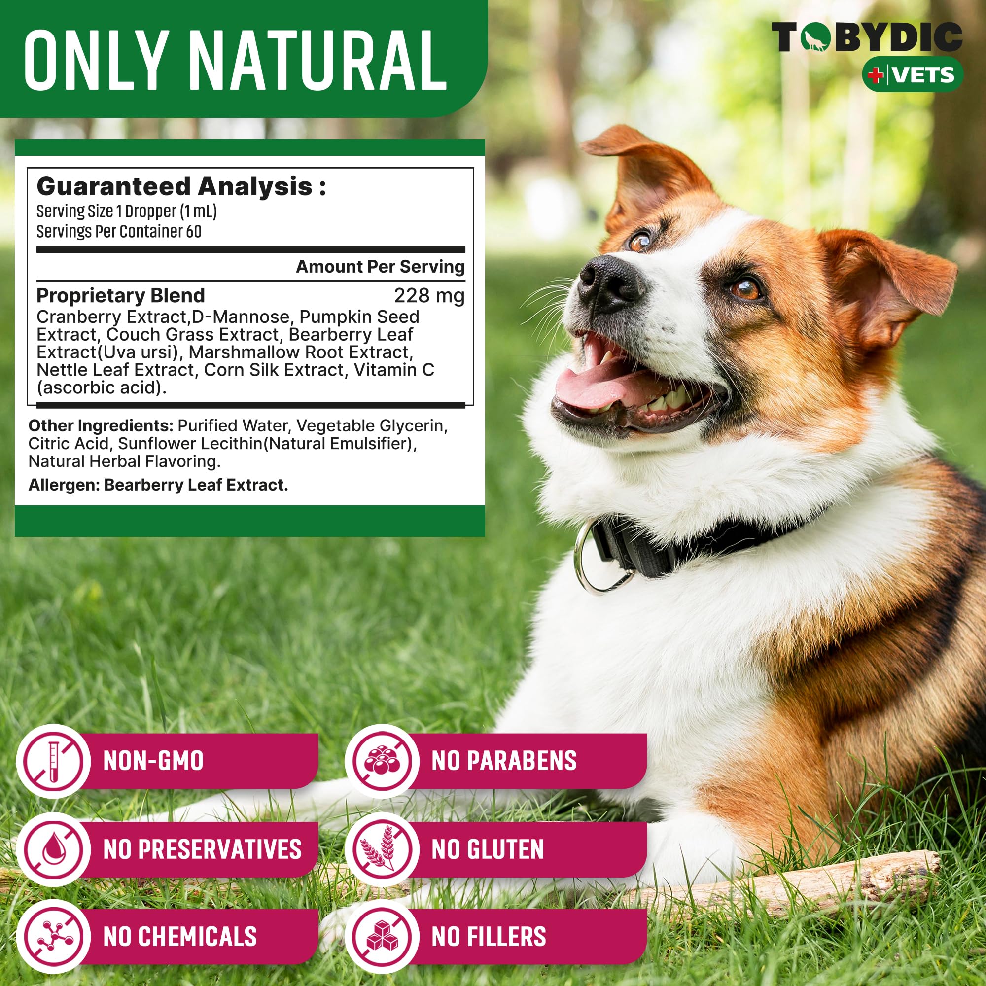 TOBYDIC scene shows a pet owner applying drops for gentle at home care.