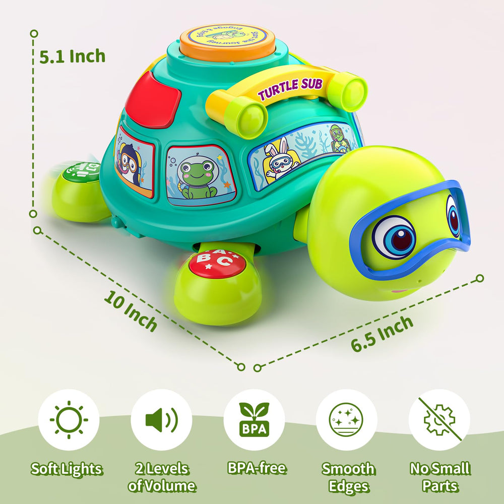 ToddlerCley Musical Turtle gift-ready packaging enhances gifting appeal