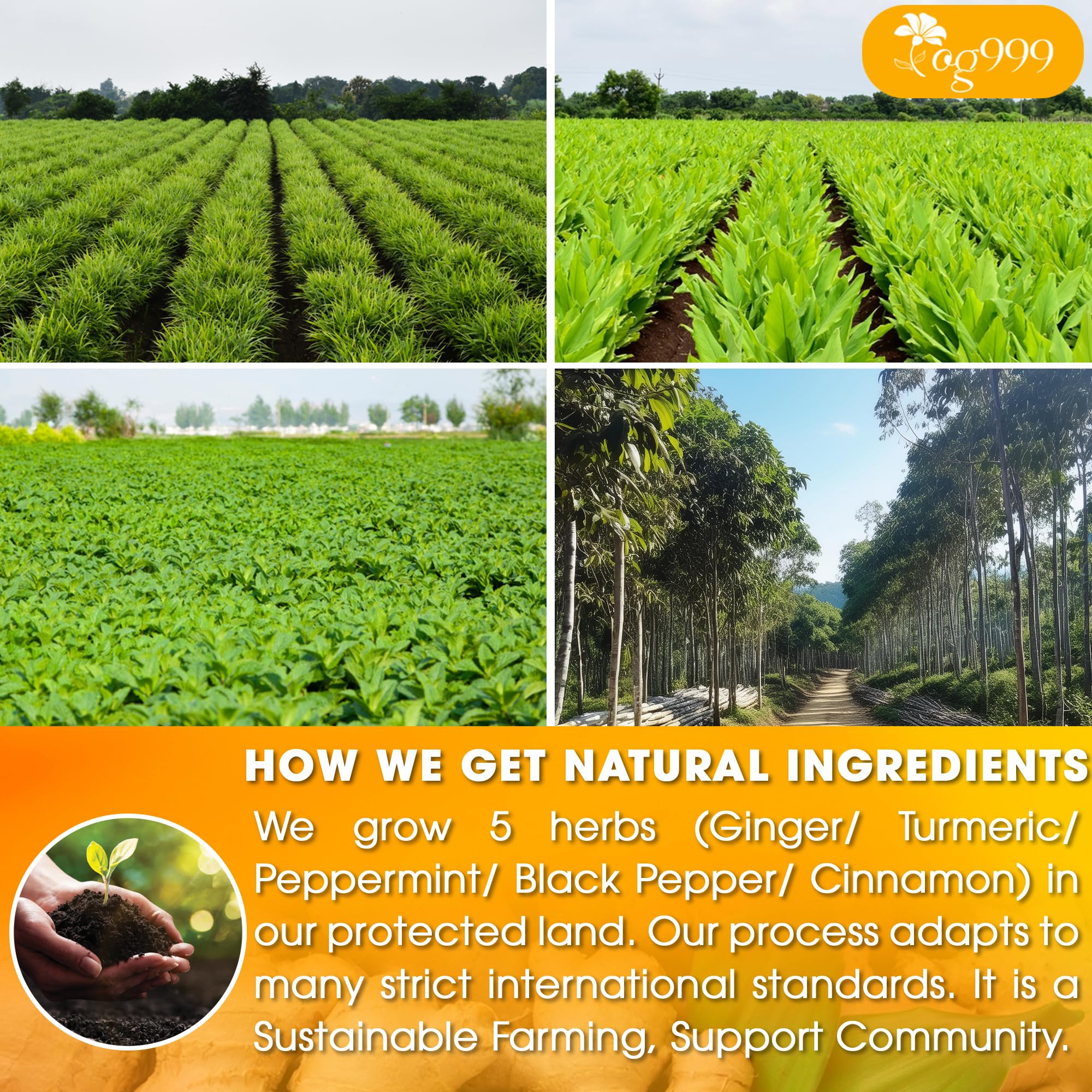TOG999 handmade tea bags crafted for premium quality and freshness.