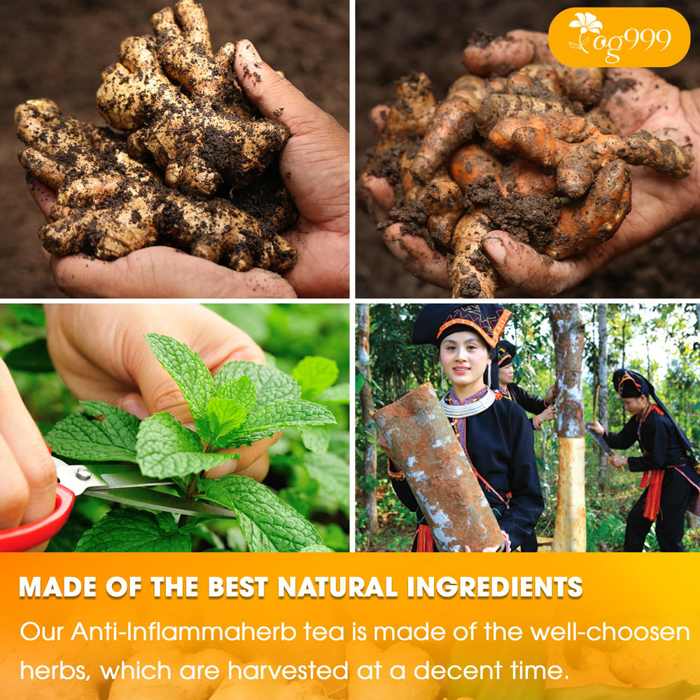 TOG999 Sustainable farming practices support responsible ingredient sourcing.