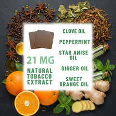 Close-up of TOLEVITA herbal-blend ingredients in the patch