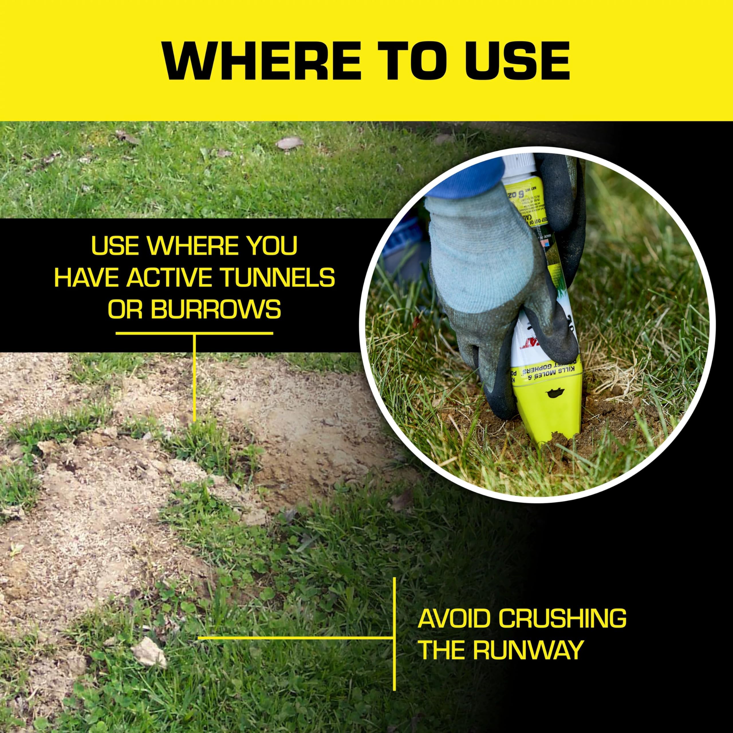 Lawn scene illustrating Tomcat bait ready for yard use