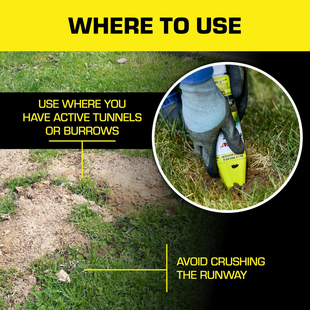 Lawn scene illustrating Tomcat bait ready for yard use