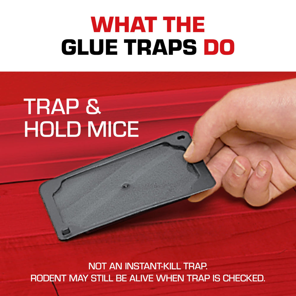 Tomcat Glue Traps six-trap pack supports versatile room placement.