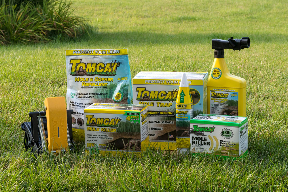 Tomcat Mole Killer ready-to-use bait on lawn for straightforward runway treatment.