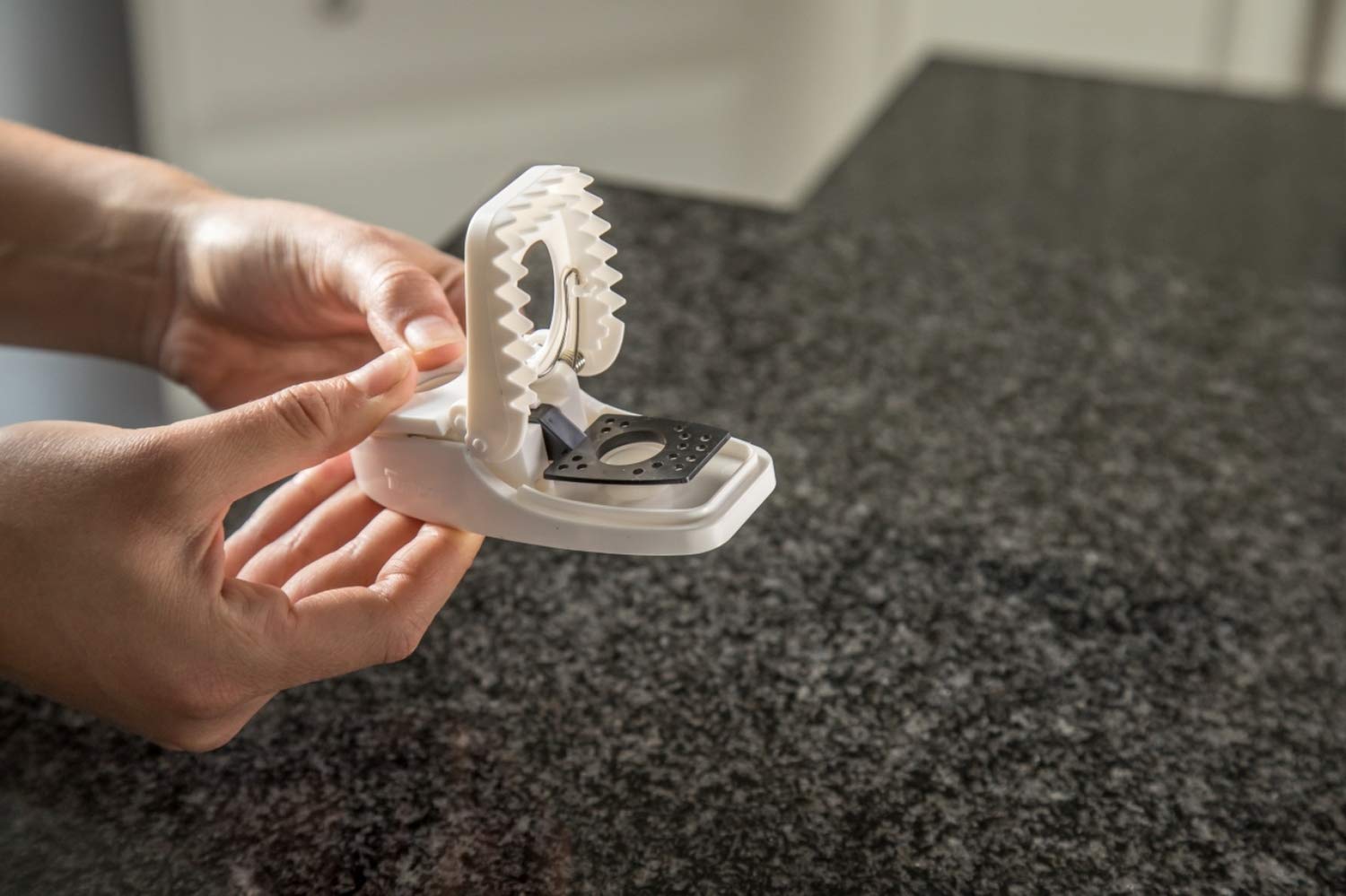 Tomcat Press 'N Set mouse trap in-use placement along wall for focused coverage