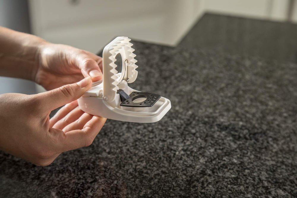 Tomcat Press 'N Set mouse trap in-use placement along wall for focused coverage