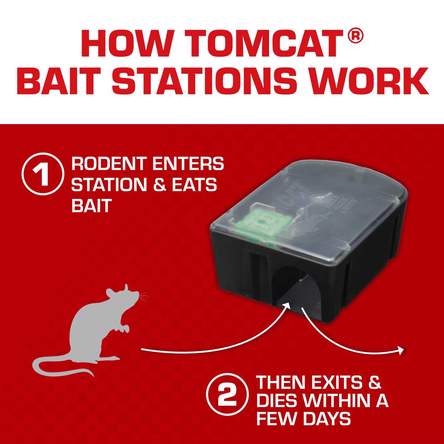 See-through window on a Tomcat station enables easy bait monitoring.