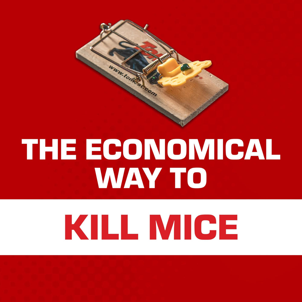 Tomcat Wooden Mouse Traps 4-pack package emphasizes cost-effective, ready-to-use solution.