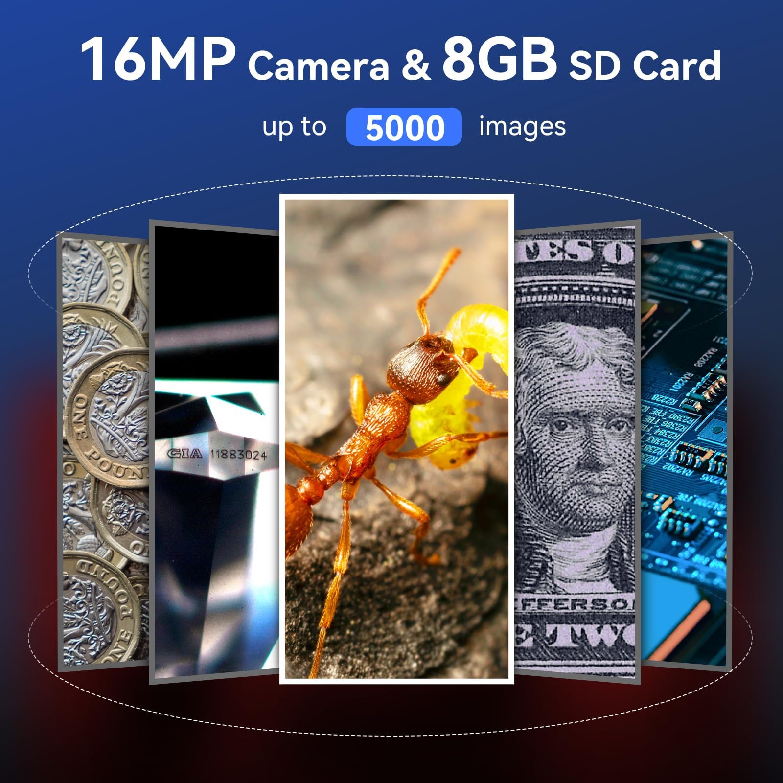 TOMLOV P10 16MP camera captures crisp macro images.