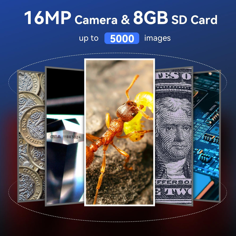 TOMLOV P10 16MP camera captures crisp macro images.