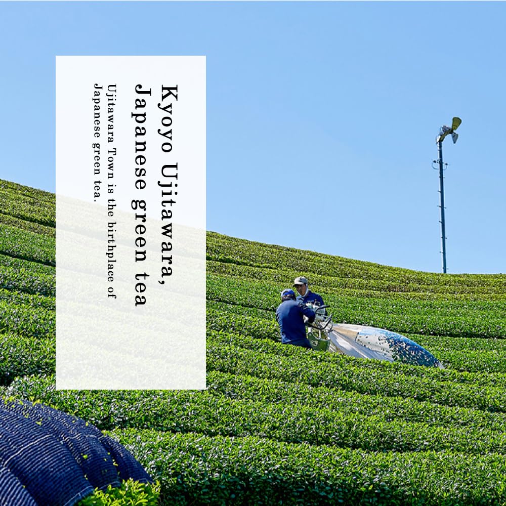 TOMOSAN first flush leaves ensure bright color and rich umami in every brew.