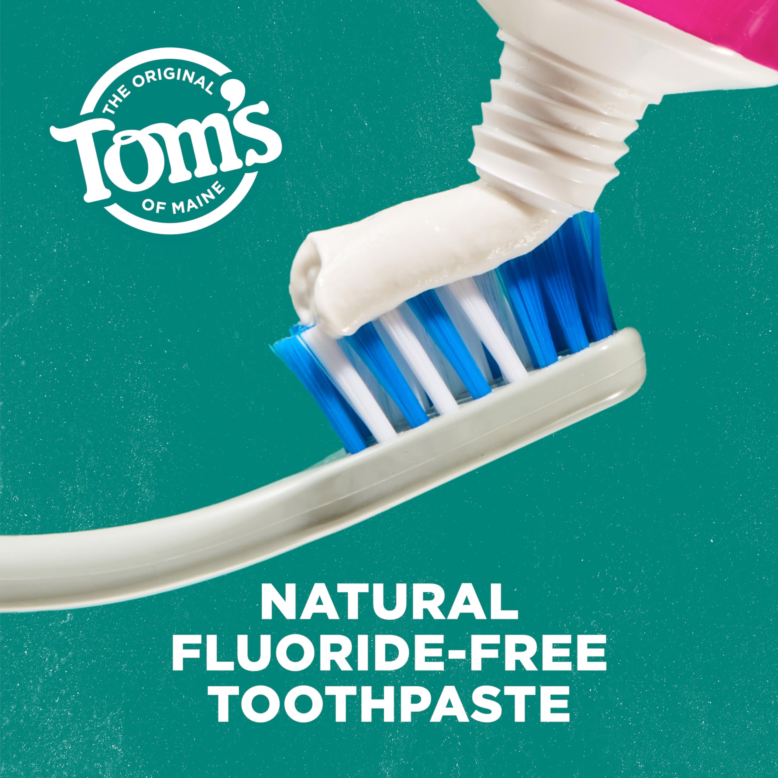 Tom’s of Maine natural ingredients close-up with calcium carbonate and xylitol for gentle cleaning