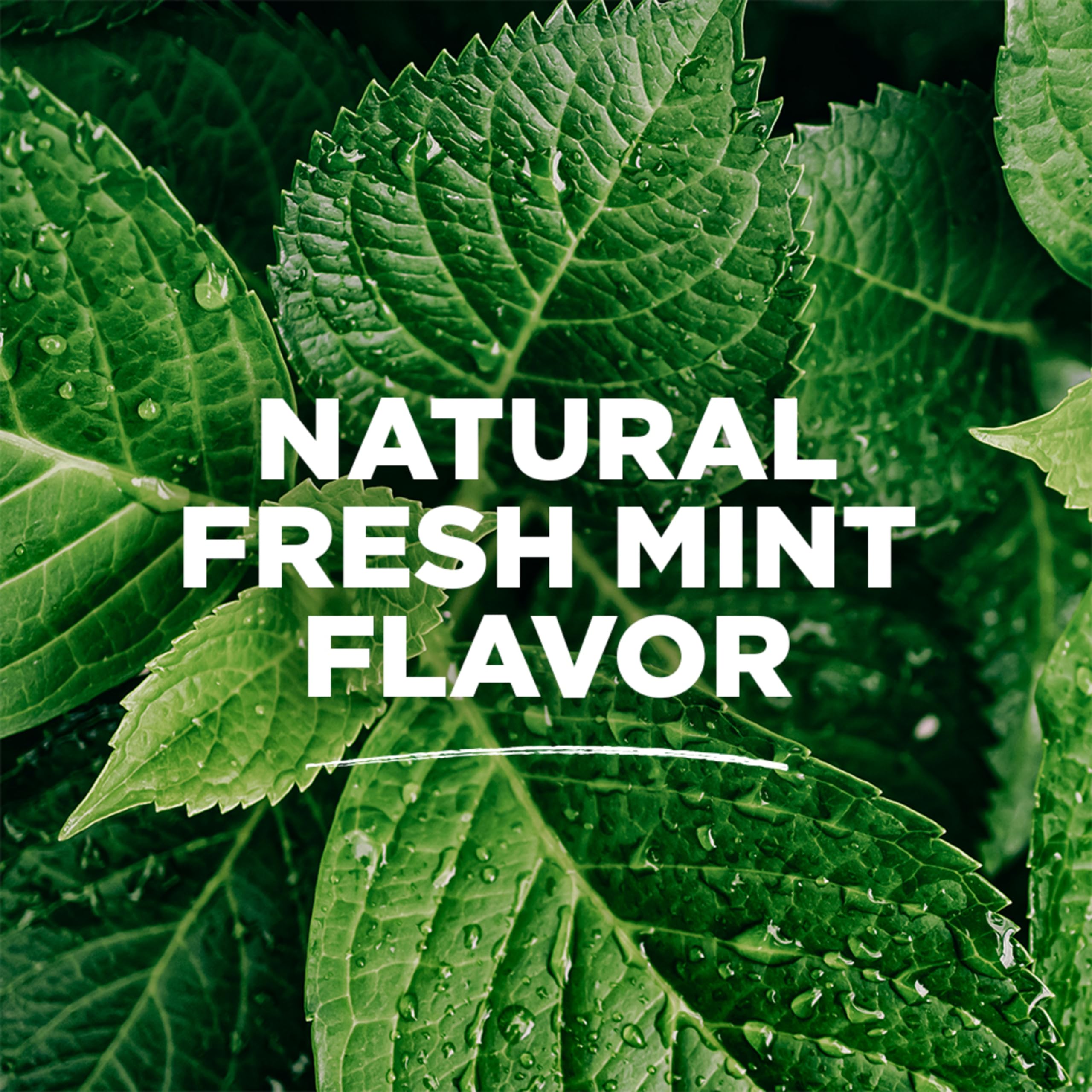 Tom's of Maine Whole Care alcohol-free mouthwash offers minty freshness without alcohol